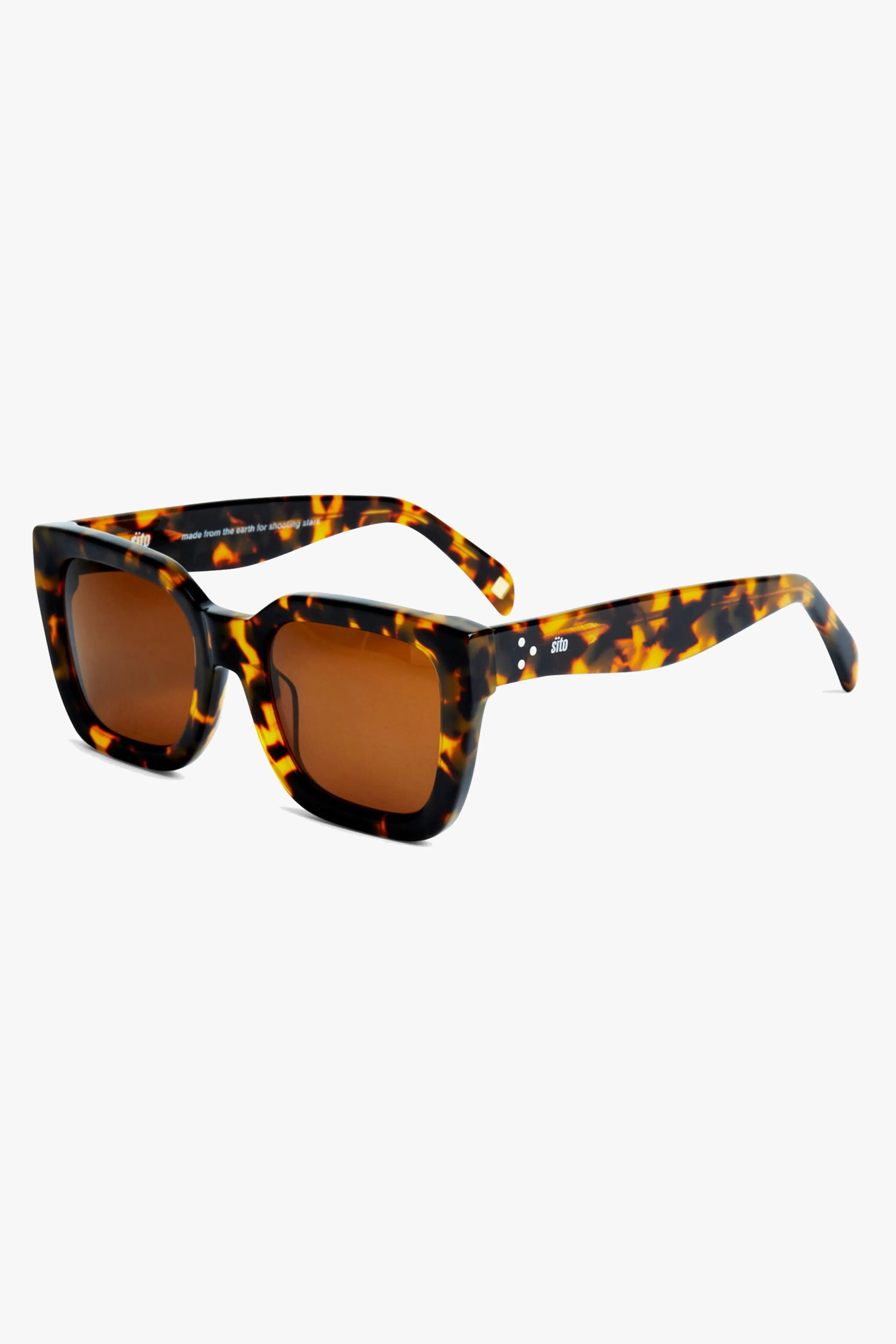 Harlow Tort Brown Polar Sunglasses